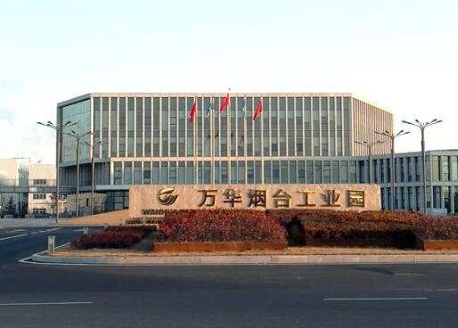 萬華化學集團股份有限公司甲醛一體化項目